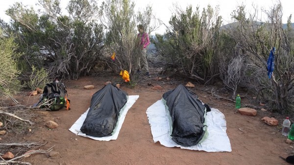 bivy